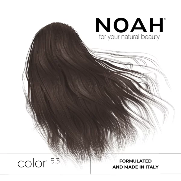 noah5.3colorshow