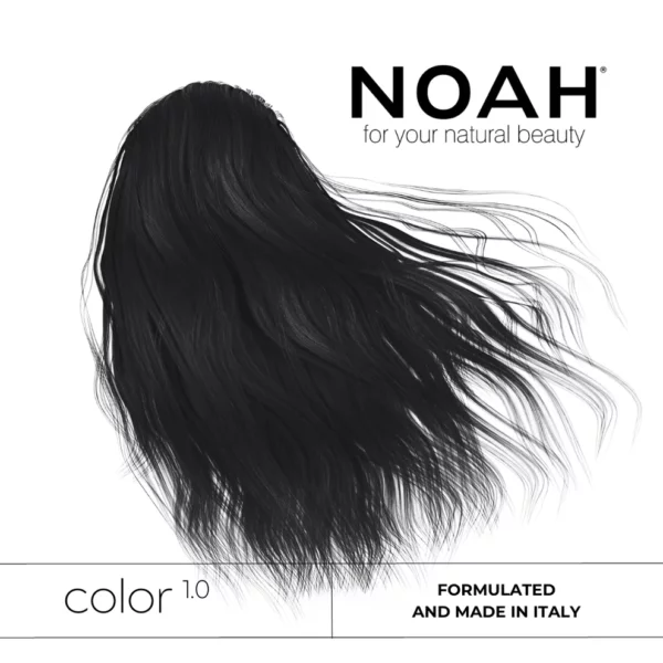 noahcolor1 1