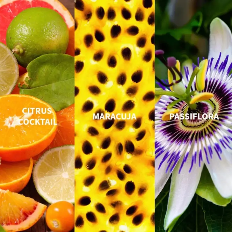 saudade-amazonia-eau-de-parfum-8323021 saudade amazonia eau de parfum 8323021