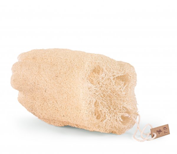 loofah brut27cm scaled