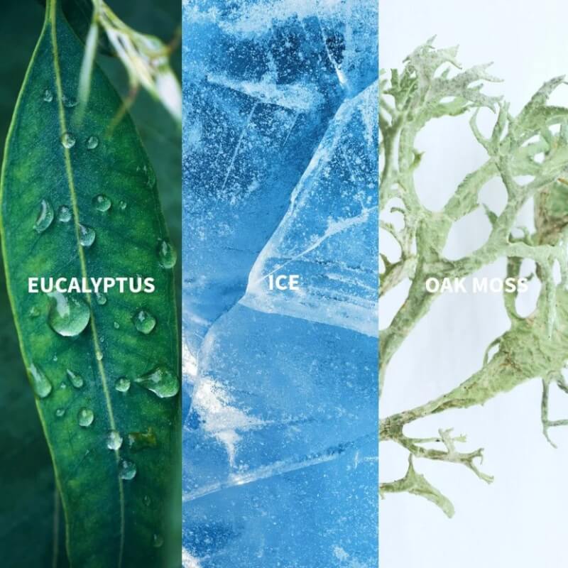 ICE - BOREAL EDP Refill Spray 11ml 3 ICE - BOREAL EDP Refill Spray 11ml - Bild 3
