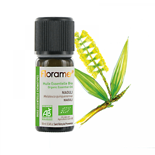 5720573 organic niaouli essential oil