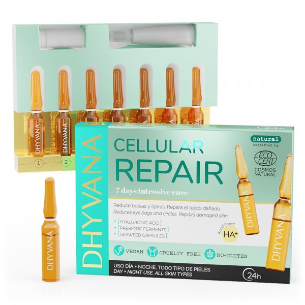 Cellular Repair