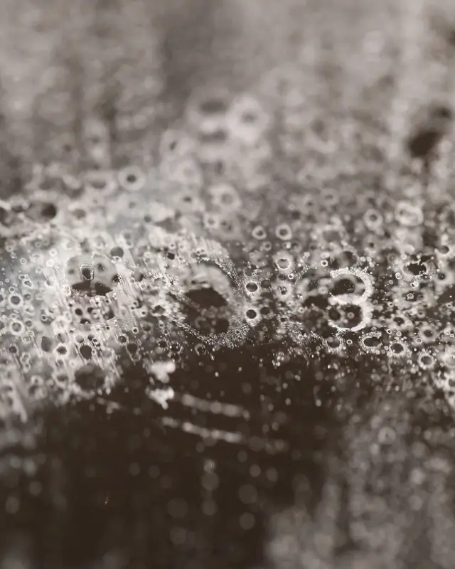 C-SAV51NJ_savon_noir_eucalyptus_2_3000x C