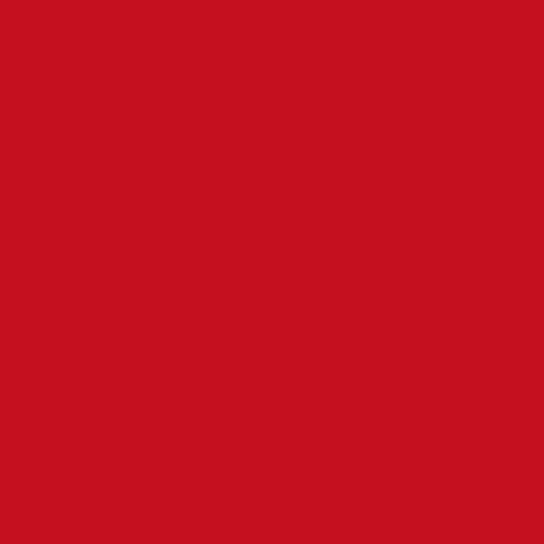 101568 COLOR