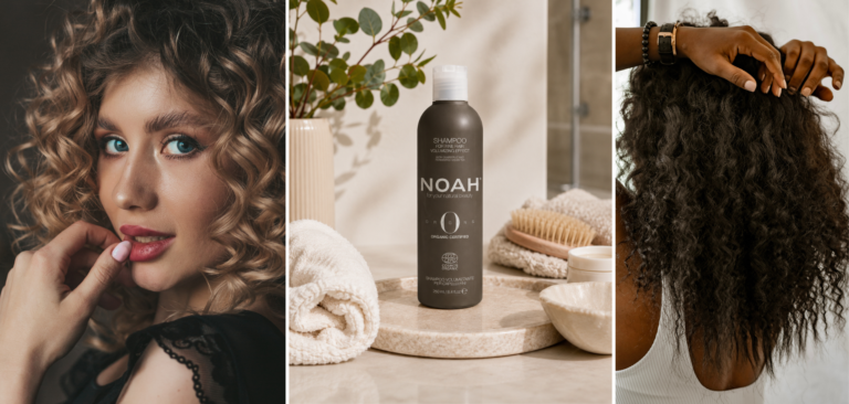 noah origins banner