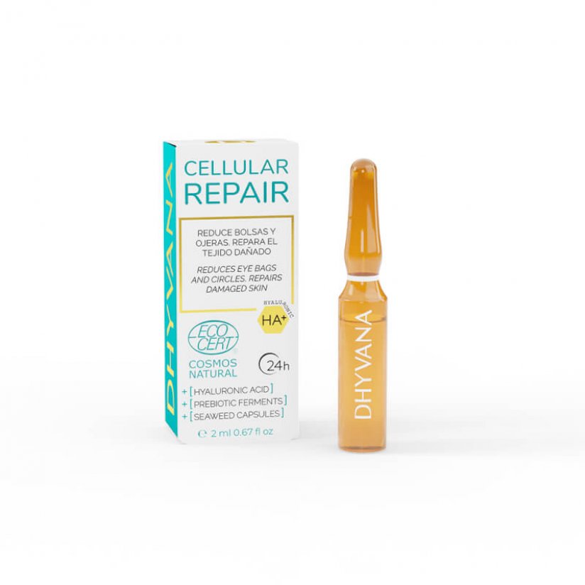 Cellular Repair_MINI