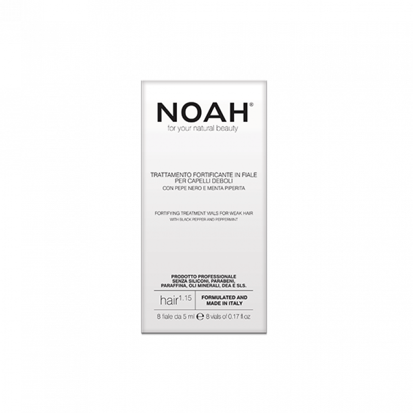 Noah-1.15-web.png