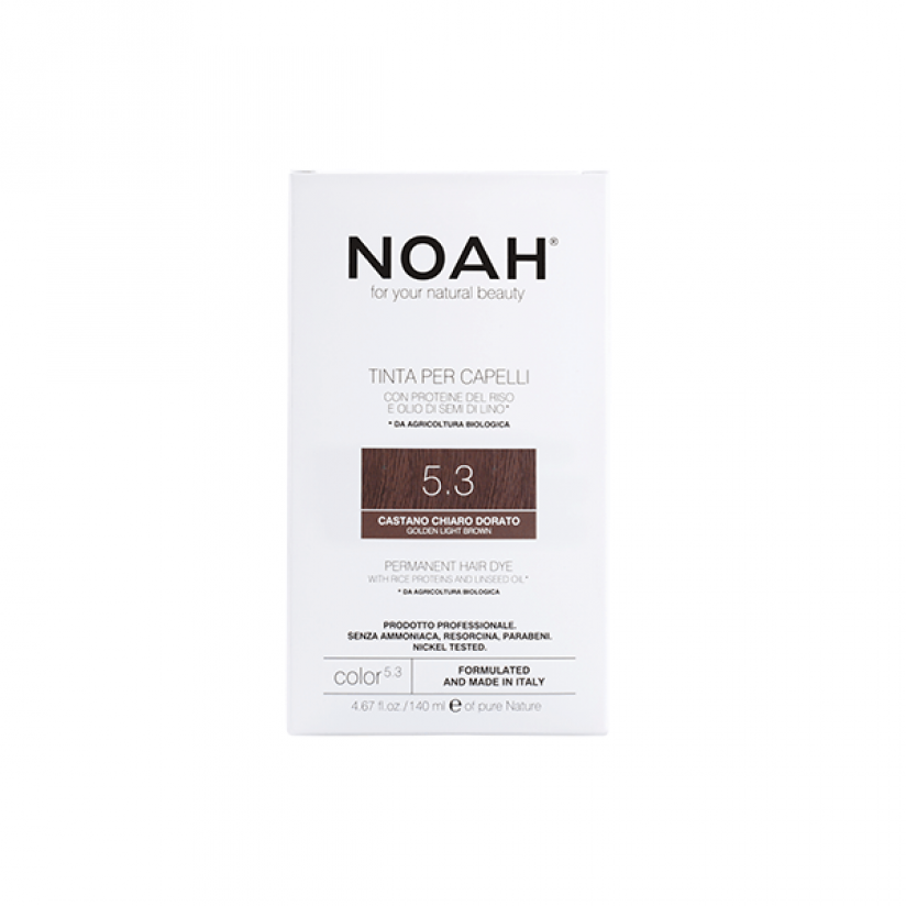 Noah-Color-5.3-Web.png