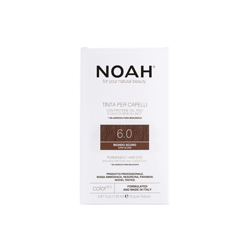 Noah-Color-6.0-Web.png