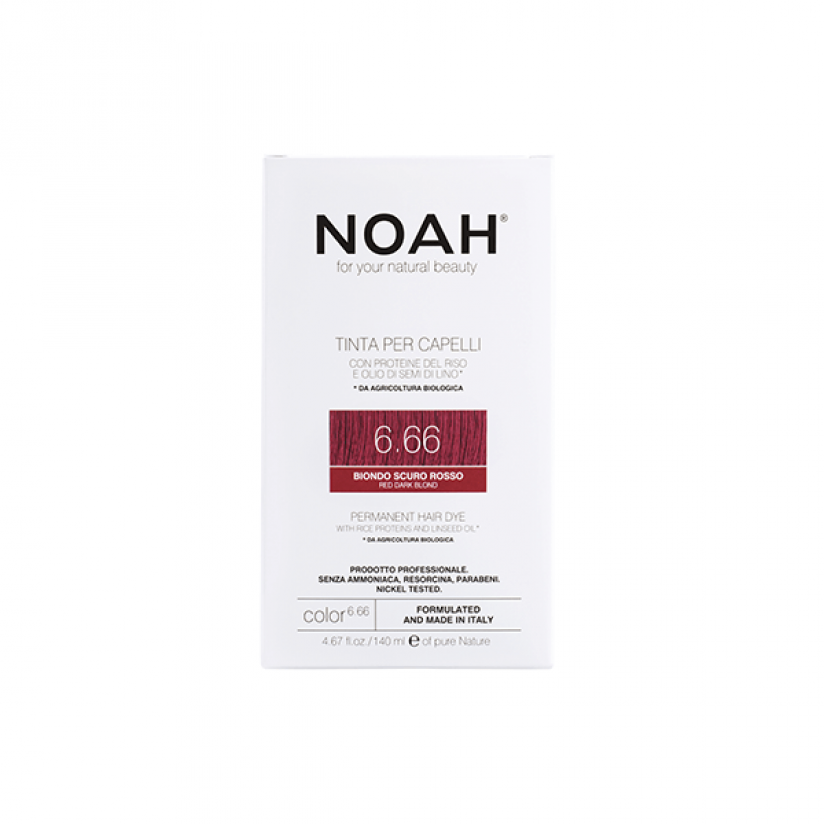 Noah-Color-6.66-Web.png