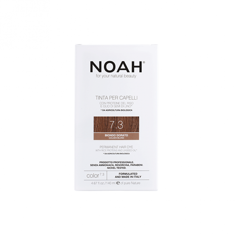 Noah-Color-7.3-web.png