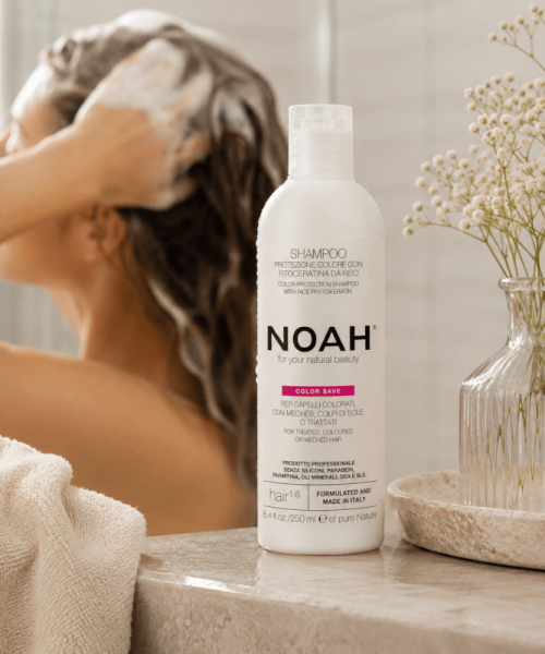 noah-1.6-lifestyle