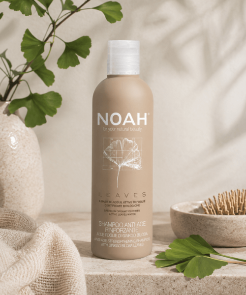 noah-ginkgo-shamp-lifestyle