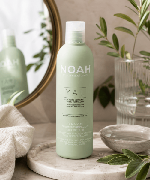 noah-yal-shamp noah-yal-shamp